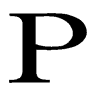 Porsche Holding Logo