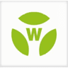 Wieland Electric Gmbh Logo
