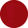 Sonova Audiological Care Austria GmbH Logo