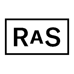 RAS Services GmbH Logo